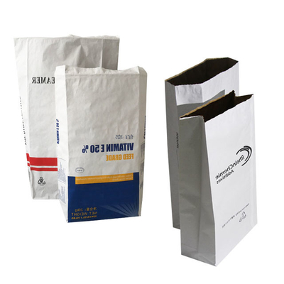 Sacs en papier à fond à pinces multicouleurs
