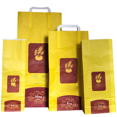 Sacs en papier biodégradables imprimés faits sur commande d'ISO9001 6L 10L pour Cat Litter Packaging