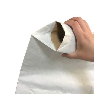 sacs en papier industriels faits sur commande de la valve 25kg pour la construction