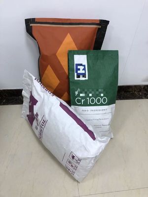 Sacs en papier à base de pinceau d'épaisseur personnalisée avec technologie d'impression Flexo