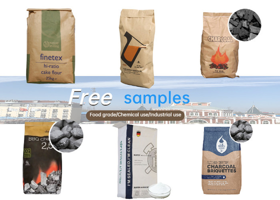 Logo adapté aux besoins du client sac à emballage de valve de papier de 25 kilogrammes pour paquet global adhésif de tuile