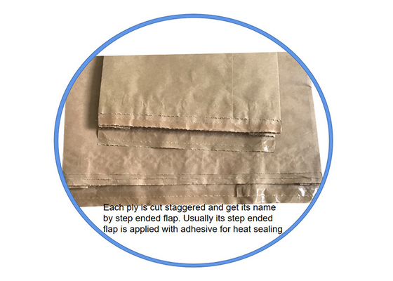 Écologique biodégradable standard inodore inférieur carré sûr de GMP de sac de papier de nourriture